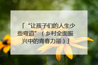 “让孩子们的人生少些弯道”（乡村全面振兴中的青春力量）