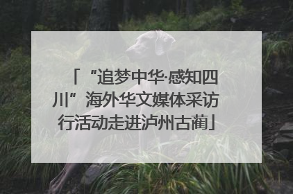 “追梦中华·感知四川”海外华文媒体采访行活动走进泸州古蔺