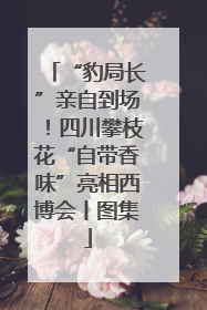“豹局长”亲自到场！四川攀枝花“自带香味”亮相西博会丨图集