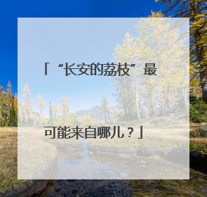 “长安的荔枝”最可能来自哪儿？