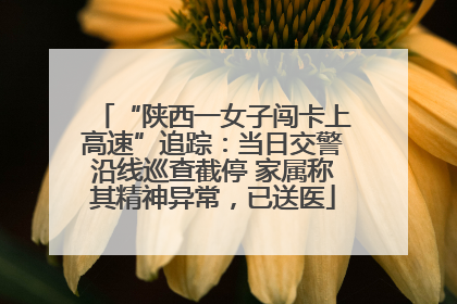 “陕西一女子闯卡上高速”追踪：当日交警沿线巡查截停 家属称其精神异常，已送医