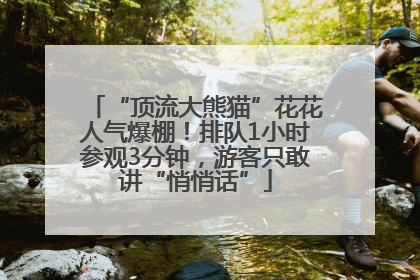 “顶流大熊猫”花花人气爆棚！排队1小时参观3分钟，游客只敢讲“悄悄话”