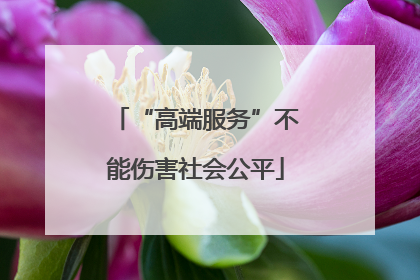 “高端服务”不能伤害社会公平