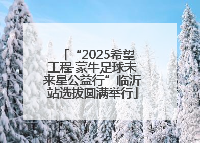 “2025希望工程·蒙牛足球未来星公益行”临沂站选拔圆满举行