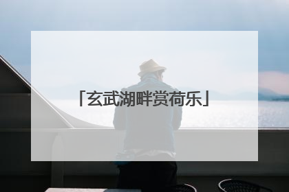 玄武湖畔赏荷乐