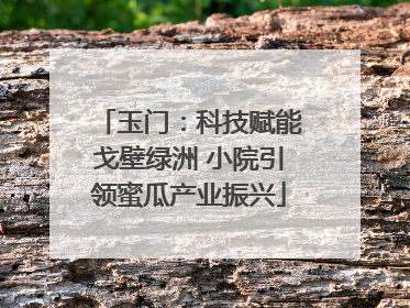 玉门：科技赋能戈壁绿洲 小院引领蜜瓜产业振兴