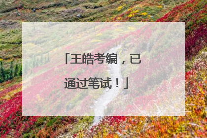 王皓考编，已通过笔试！