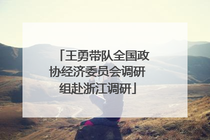 王勇带队全国政协经济委员会调研组赴浙江调研