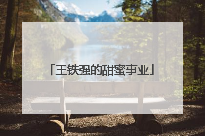 王铁强的甜蜜事业