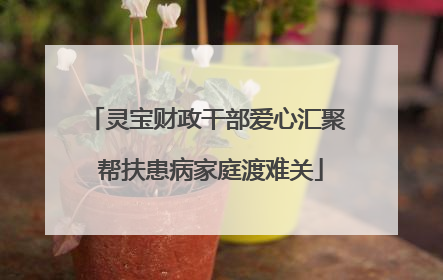 灵宝财政干部爱心汇聚 帮扶患病家庭渡难关