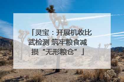 灵宝：开展机收比武检测 筑牢粮食减损“无形粮仓”