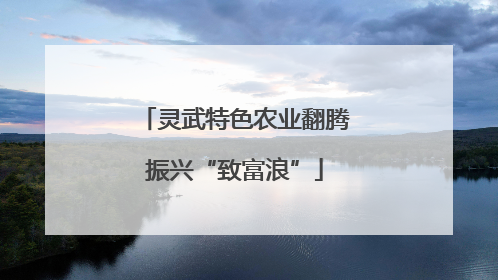 灵武特色农业翻腾振兴“致富浪”