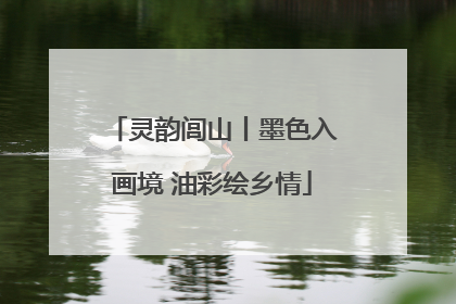 灵韵闾山丨墨色入画境 油彩绘乡情