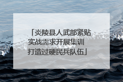 炎陵县人武部紧贴实战需求开展集训 打造过硬民兵队伍
