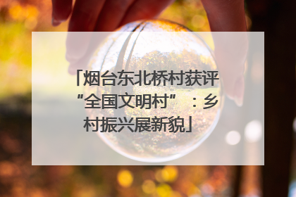 烟台东北桥村获评“全国文明村”：乡村振兴展新貌