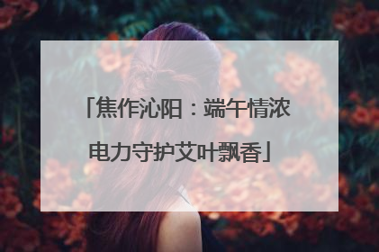 焦作沁阳：端午情浓 电力守护艾叶飘香