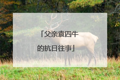 父亲袁四牛的抗日往事
