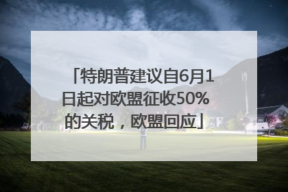 特朗普建议自6月1日起对欧盟征收50%的关税，欧盟回应
