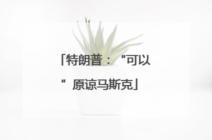 特朗普：“可以”原谅马斯克