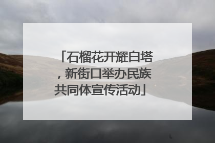 石榴花开耀白塔，新街口举办民族共同体宣传活动