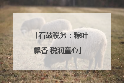石鼓税务：粽叶飘香 税润童心