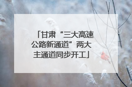甘肃“三大高速公路新通道”两大主通道同步开工