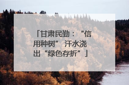 甘肃民勤：“信用种树” 汗水浇出“绿色存折”