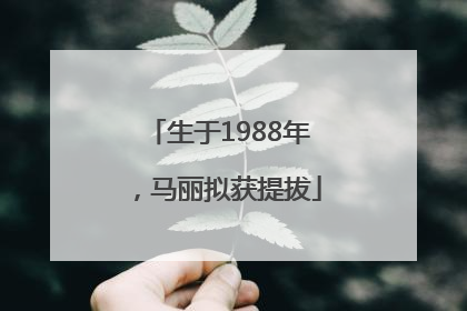 生于1988年，马丽拟获提拔