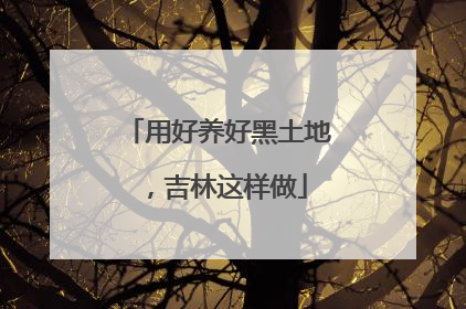 用好养好黑土地，吉林这样做