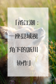 甬江潮：一座县域视角下的浙川协作