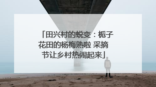 田兴村的蜕变：栀子花田的杨梅熟啦 采摘节让乡村热闹起来