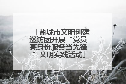 盐城市文明创建巡访团开展“党员亮身份服务当先锋”文明实践活动