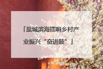 盐城滨海擂响乡村产业振兴“奋进鼓”