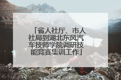 省人社厅、市人社局到湖北东风汽车技师学院调研技能竞赛集训工作