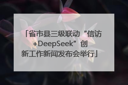 省市县三级联动“信访+DeepSeek”创新工作新闻发布会举行