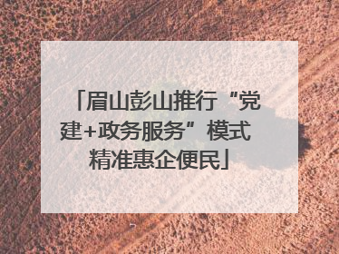 眉山彭山推行“党建+政务服务”模式 精准惠企便民