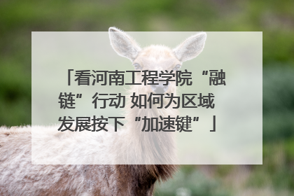 看河南工程学院“融链”行动 如何为区域发展按下“加速键”