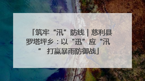 筑牢“汛”防线｜慈利县罗塔坪乡：以“迅”应“汛” 打赢暴雨防御战