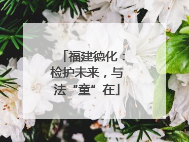 福建德化：检护未来，与法“童”在