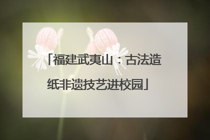 福建武夷山：古法造纸非遗技艺进校园
