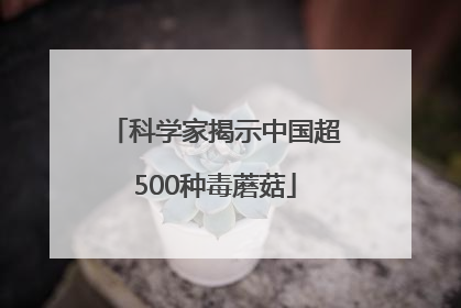 科学家揭示中国超500种毒蘑菇