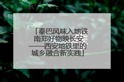 秦巴风味入地铁 南郑好物映长安——西安地铁里的城乡融合新实践
