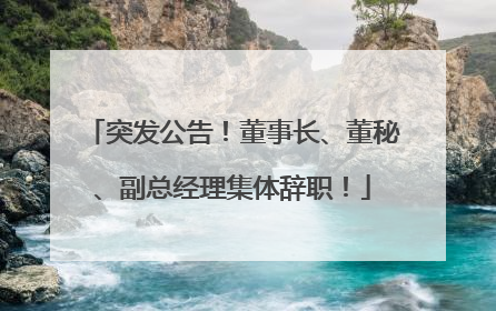 突发公告！董事长、董秘、副总经理集体辞职！