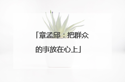 章孟邱：把群众的事放在心上