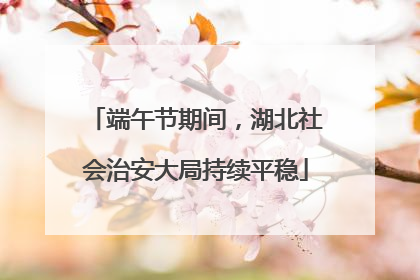 端午节期间，湖北社会治安大局持续平稳