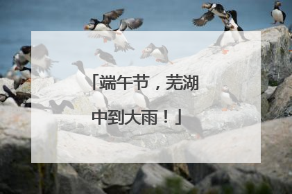 端午节，芜湖中到大雨！