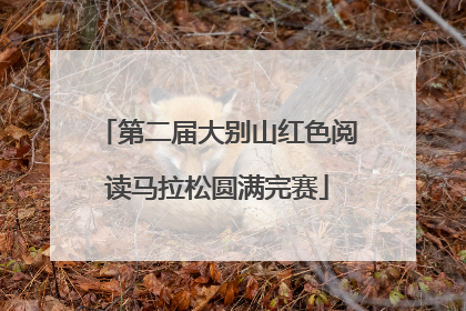 第二届大别山红色阅读马拉松圆满完赛