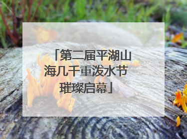 第二届平湖山海几千重泼水节璀璨启幕