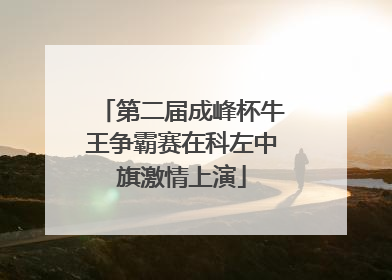 第二届成峰杯牛王争霸赛在科左中旗激情上演