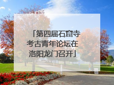 第四届石窟寺考古青年论坛在洛阳龙门召开